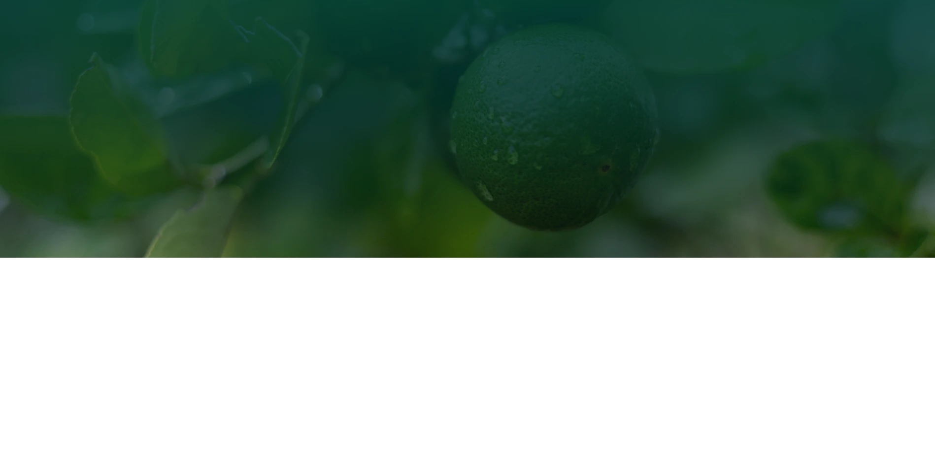 Fondo de proceso de inversión