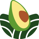 avovit-front-end-landing.pages.dev favicon